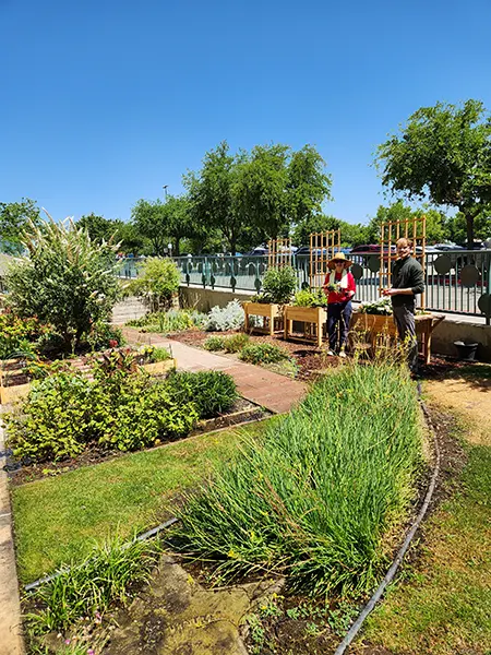 far shot of two people in garden